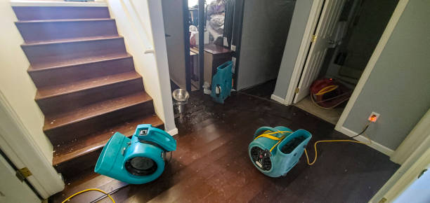 Best Emergency water damage restoration  in Eldridge, IA
