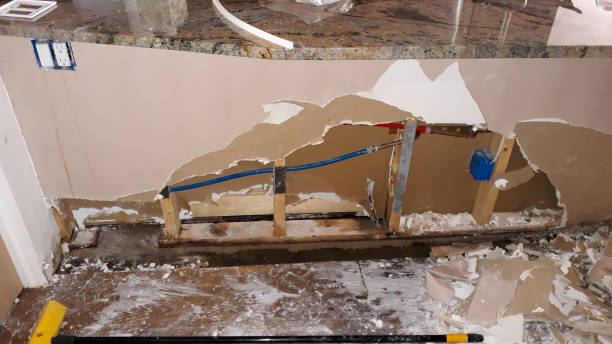 Best Water damage restoration near me  in Eldridge, IA