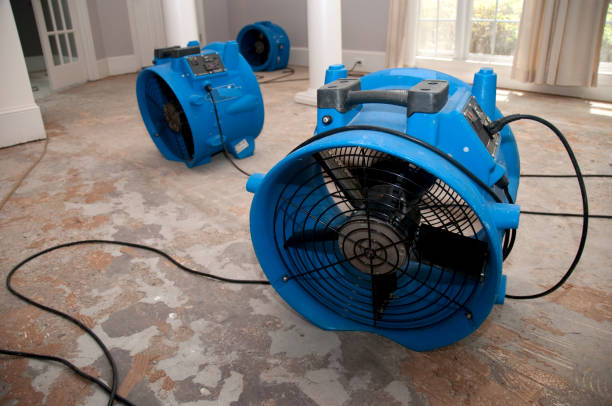 Best Commercial water damage restoration  in Eldridge, IA