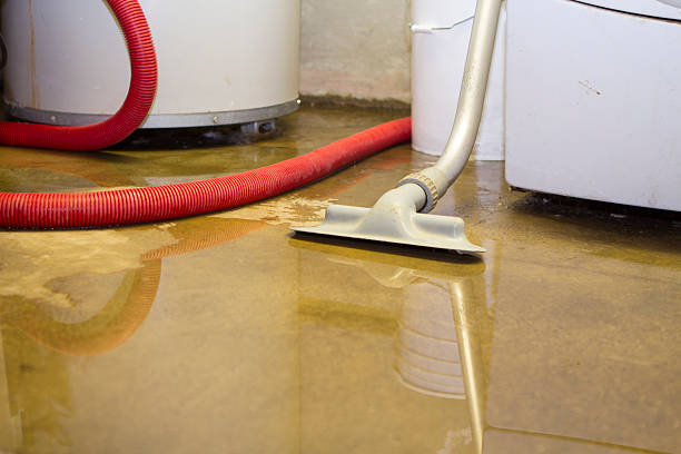 Best Emergency water damage restoration  in Eldridge, IA