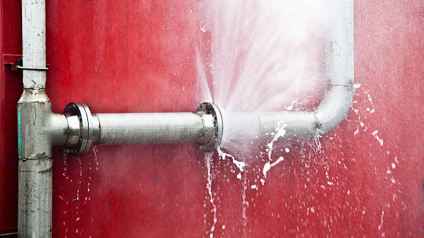 Best Sewage cleanup and water damage restoration  in Eldridge, IA